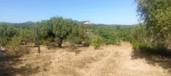  Land in Reus, Spain No. 144786 2