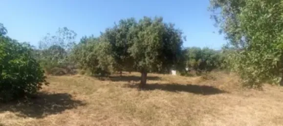  Land in Reus, Spain No. 144786 6