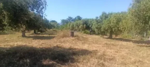  Land in Reus, Spain No. 144786 7