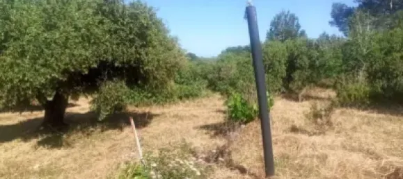  Land in Reus, Spain No. 144786 5