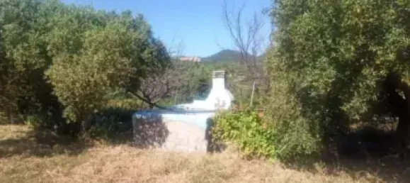  Land in Reus, Spain No. 144786 4