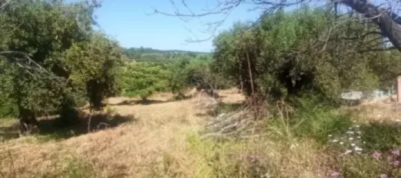  Land in Reus, Spain No. 144786 3