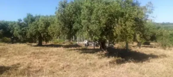  Land in Reus, Spain No. 144786 9