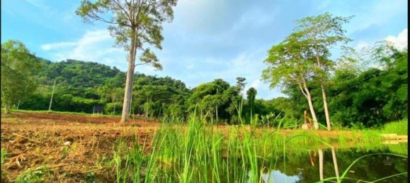  Commercial property in Pattaya, Thailand No. 19871 8