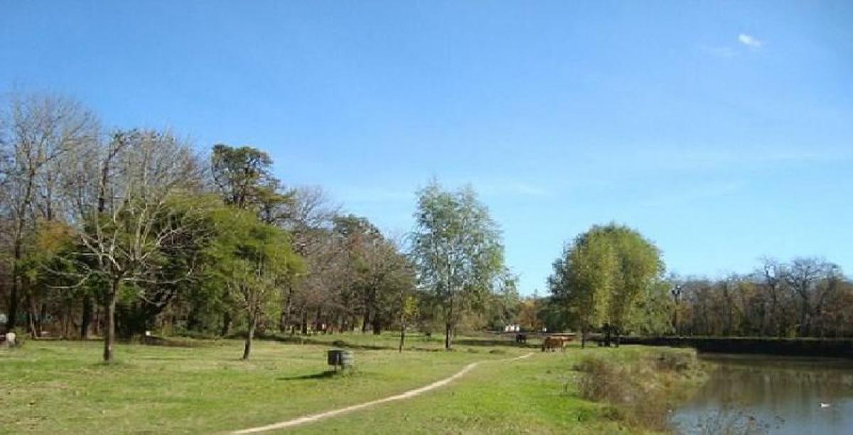  Land in San Antonio de Areco, Argentina No. 50668