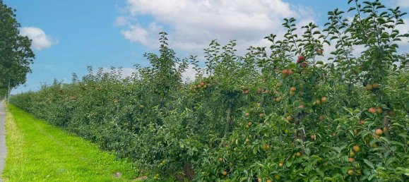 5 غرف نوم منزل في Stade, Germany رقم 273502 12