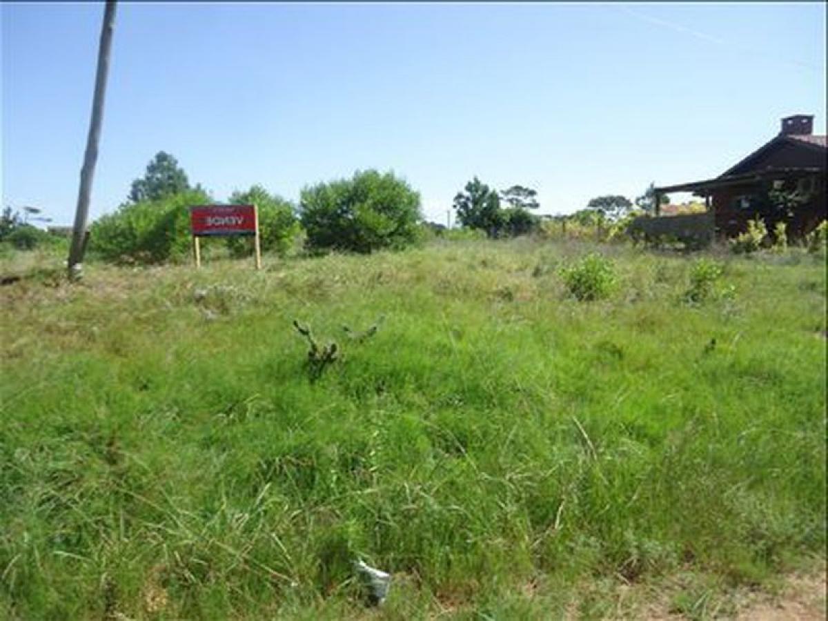 Terrain à Maldonado, Uruguay No. 14251