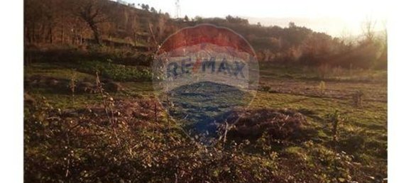 Grundstück in Baiao, Portugal 7260m², Nr. 58679 5