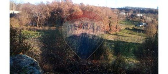 Grundstück in Baiao, Portugal 7260m², Nr. 58679 3