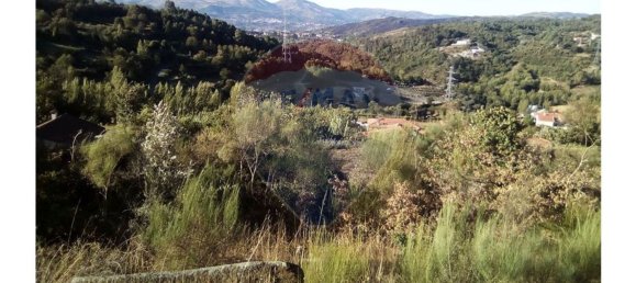 Grundstück in Baiao, Portugal 7260m², Nr. 58679 11