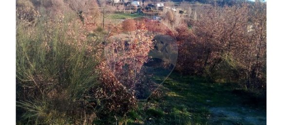 Grundstück in Baiao, Portugal 7260m², Nr. 58679 9