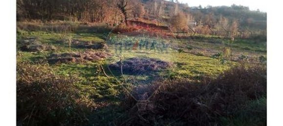 Grundstück in Baiao, Portugal 7260m², Nr. 58679 8