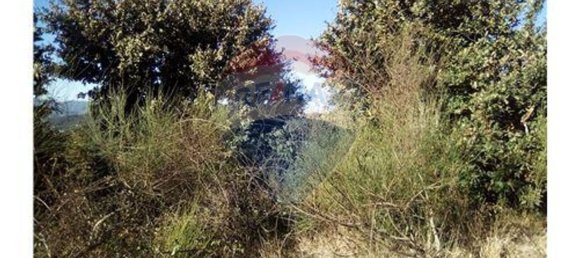 Grundstück in Baiao, Portugal 7260m², Nr. 58679 10