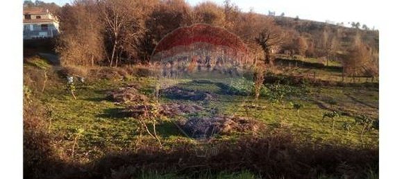 Grundstück in Baiao, Portugal 7260m², Nr. 58679 7