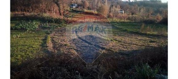 Grundstück in Baiao, Portugal 7260m², Nr. 58679 6