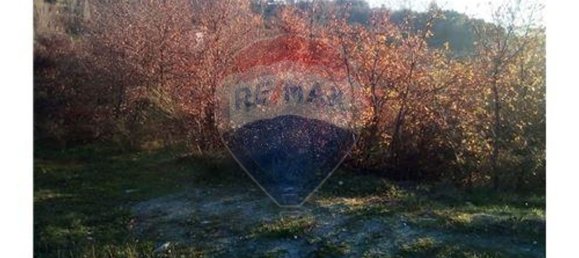 Grundstück in Baiao, Portugal 7260m², Nr. 58679 4