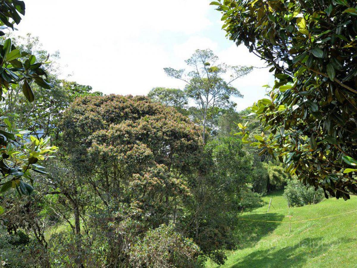 Terrain à Antioquia, Colombia No. 734