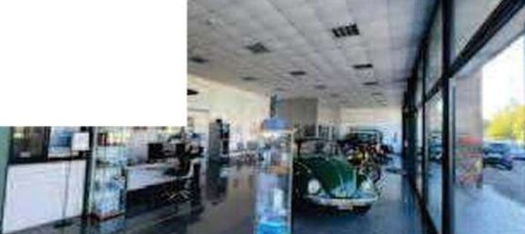 526m² Warehouse in Abano Terme, Italy No. 301455 5