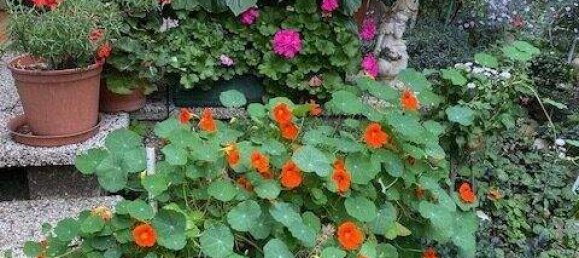 4-Zimmer Haus in Klagenfurt am Wörthersee, Austria, Nr. 203040 5