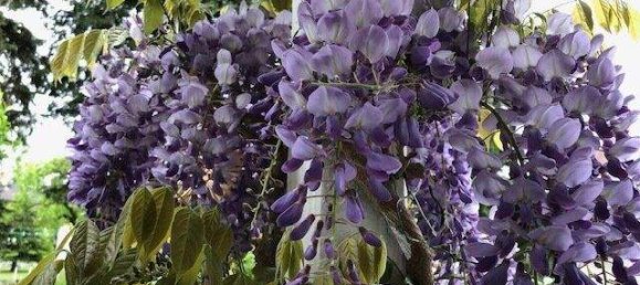 4-Zimmer Haus in Klagenfurt am Wörthersee, Austria, Nr. 203040 4