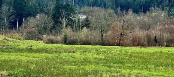 Terreno en Saint-Die-des-Vosges, France 2174 m² No. 58302 5