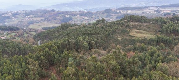 5 غرف نوم منزل في Marco de Canaveses, Portugal رقم 320317 9