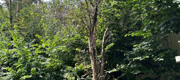 5 rooms House in Salzburg, Austria No. 204362 5