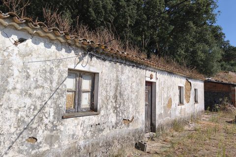 Terreno de 3 dormitorios en Monchique, Portugal No. 294157