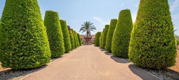 3 bedrooms House in Porreres, Spain No. 155326 2