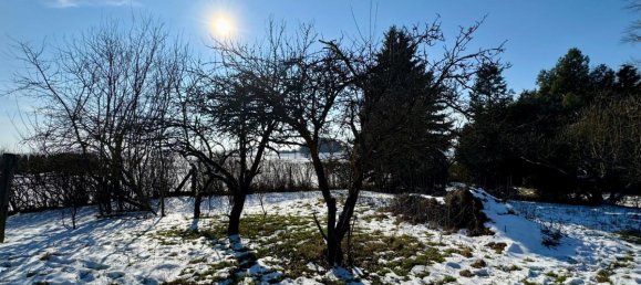 7 rooms House in Teltow-Flaming, Germany No. 70922 17