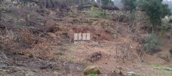 1960m² Land in Marco de Canaveses, Portugal No. 59364 3