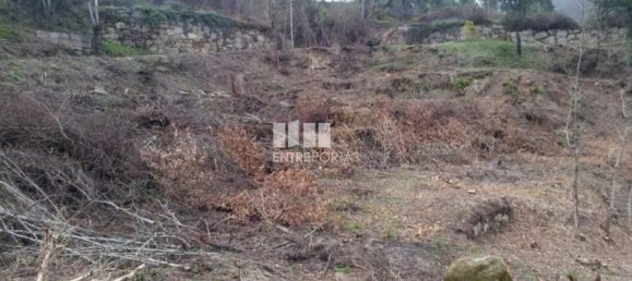 1960m² Land in Marco de Canaveses, Portugal No. 59364 2