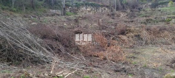 1960m² Land in Marco de Canaveses, Portugal No. 59364 4