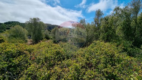 880m² Land in Sintra, Portugal No. 69678