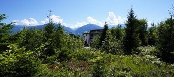  Land in Gnadenwald, Austria No. 58651 2