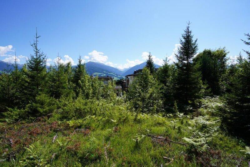  Land in Gnadenwald, Austria No. 58651