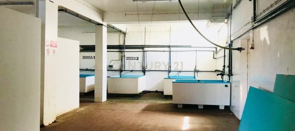 210m² Commercial property in Tavira, Portugal No. 236230 3