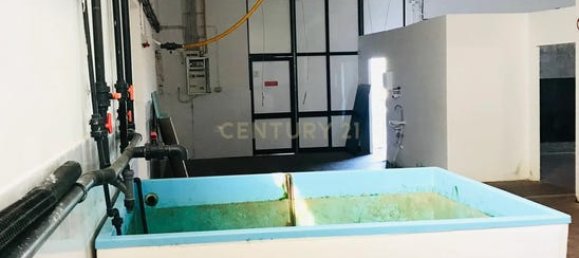 210m² Commercial property in Tavira, Portugal No. 236230 5