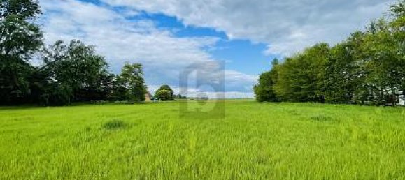  قطعة أرض في Dithmarschen, Germany 5120متر مربع رقم 257955 5