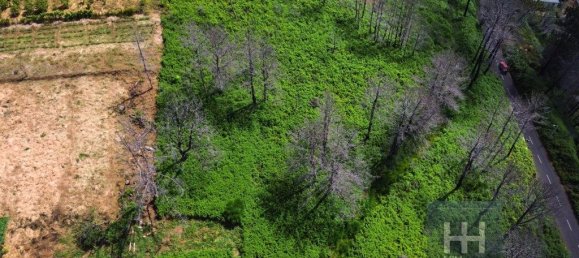 Grundstück in Calheta, Portugal 990m², Nr. 206958 3
