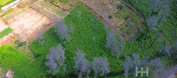 Grundstück in Calheta, Portugal 990m², Nr. 206958 12