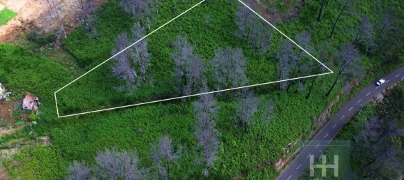 Grundstück in Calheta, Portugal 990m², Nr. 206958 10