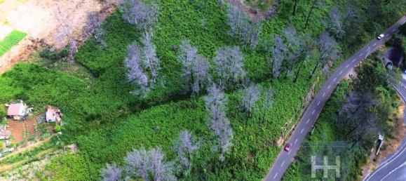 Grundstück in Calheta, Portugal 990m², Nr. 206958 9