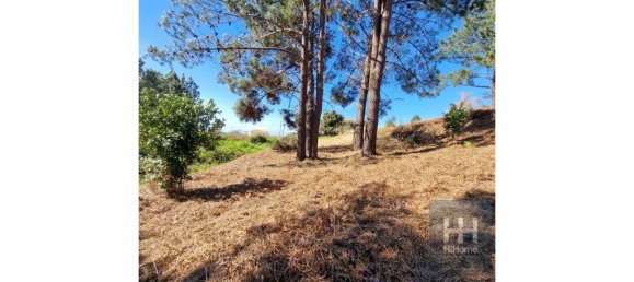 Grundstück in Calheta, Portugal 990m², Nr. 206958 33