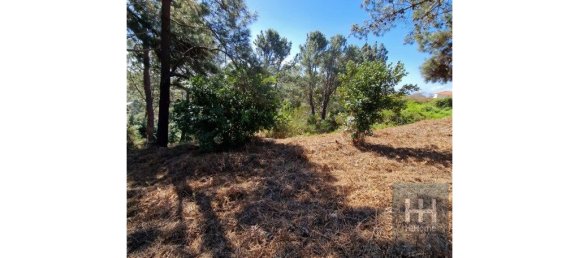 Grundstück in Calheta, Portugal 990m², Nr. 206958 34