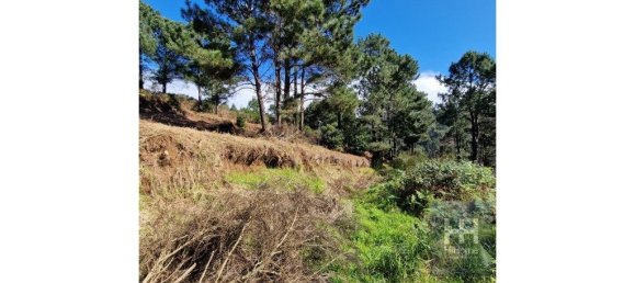 Grundstück in Calheta, Portugal 990m², Nr. 206958 23