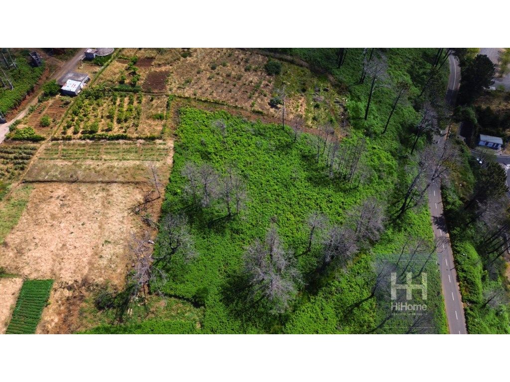 990m² Land in Calheta, Portugal No. 206958