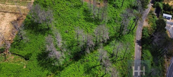 Grundstück in Calheta, Portugal 990m², Nr. 206958 5