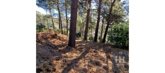 Grundstück in Calheta, Portugal 990m², Nr. 206958 32