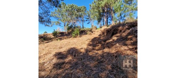 Grundstück in Calheta, Portugal 990m², Nr. 206958 18